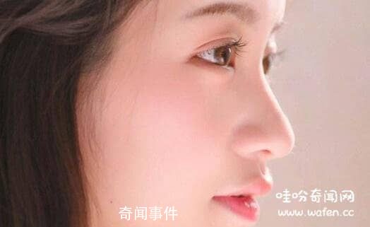詳解相學最有福氣的7種鼻子 教你分辨哪種鼻子最有財運或長壽