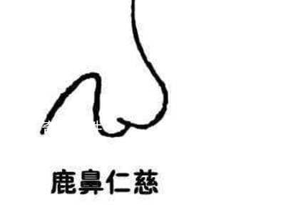 詳解相學最有福氣的7種鼻子 教你分辨哪種鼻子最有財運或長壽