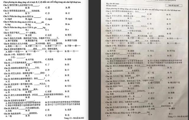 老師稱在越南學好中文工資更高 引發網友熱議