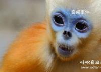 詳解相學(xué)最有福氣的7種鼻子 教你分辨哪種鼻子最有財(cái)運(yùn)或長(zhǎng)壽