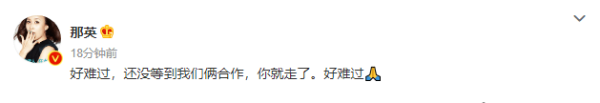 那英:還沒(méi)等到我們合作你就走了