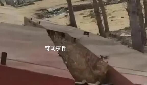 羅翔談村民私搭浮橋被判刑 修橋造路應是社會秩序所嘉許的