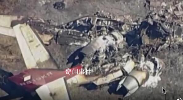 美加州一飛機失事6名乘客遇難 背后真相恐怖極了