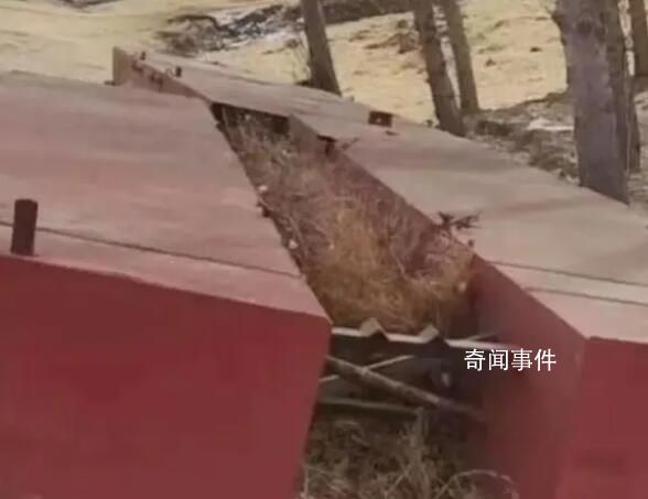 浮橋事件當地水利局曾因不作為被訴 具體什么情況