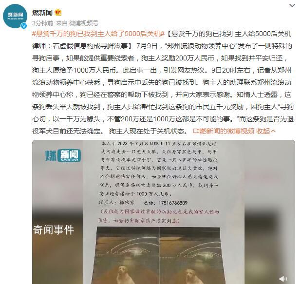 懸賞千萬的狗已找到 主人給了5000