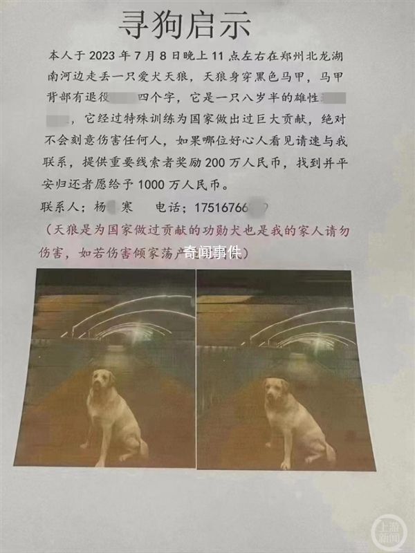 “1000萬尋狗”事件背后疑有推手 引發網友熱議
