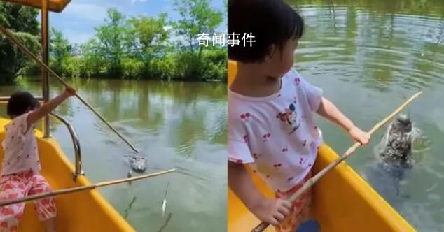 南京一動物園推出釣鱷魚項目 你敢讓孩子體驗釣鱷魚嗎