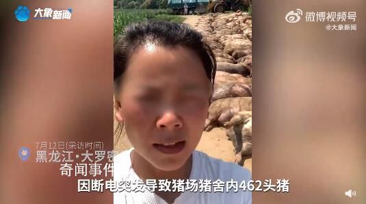 豬場因斷電死亡462頭豬損失近百萬 莫名其妙的背了100萬的債務