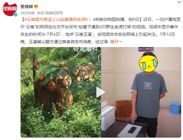 男子自稱上山撿菌遇老虎 警方:行拘
