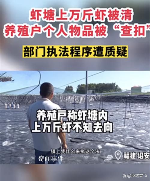 當地回應養殖戶上萬斤蝦被清空 究竟遇到了什么問題