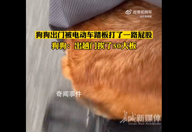狗狗被電動車踏板打了一路屁股 心疼汪星人