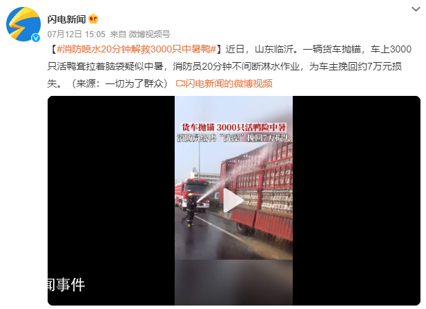 消防噴水20分鐘解救3000只中暑鴨 不間斷淋水作業