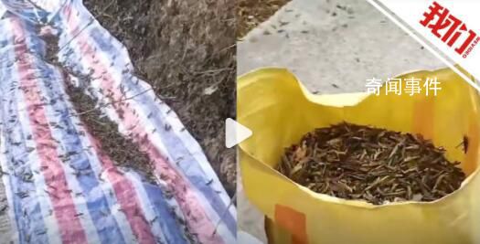 拜登稱普京已輸掉戰爭 給西方打氣