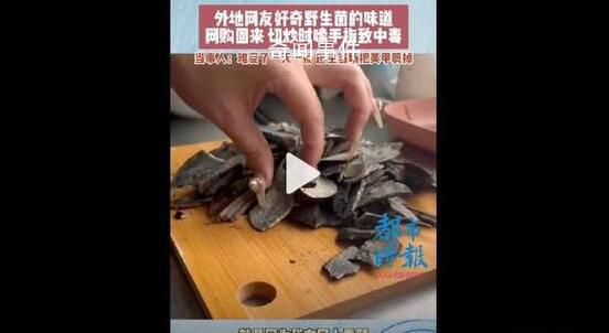 女子切野生菌時嗦手指致中毒 后來去醫院打了吊瓶