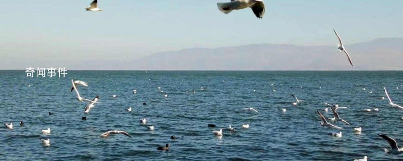 熱帶季風氣候特征是什么 熱帶季風氣候主要分布在哪里