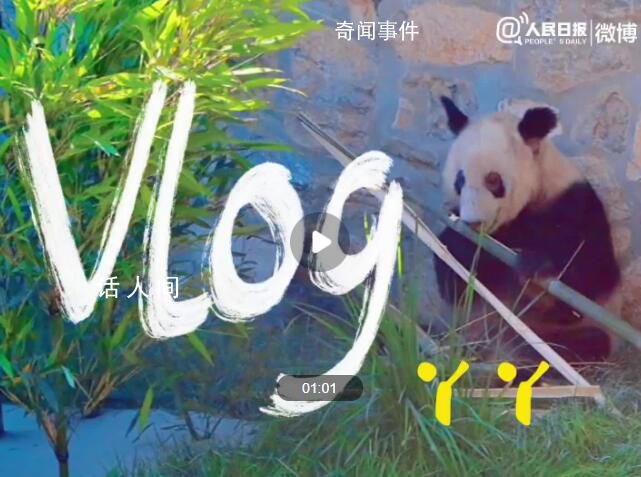 丫丫vlog合集 豐容玩具愛不釋手
