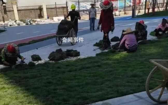 樓盤綠化面積不夠 開發商鋪草坪充數