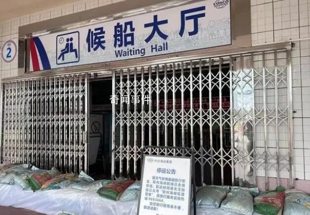 臺風泰利登陸:鯨魚被沖上岸引圍觀