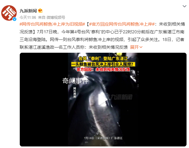 臺風將鯨魚沖上岸?官方回應