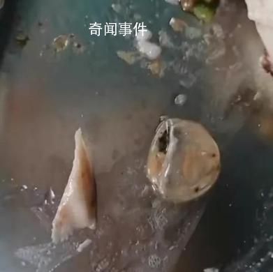 媒體評食堂異物:人員處罰該等一等