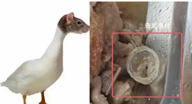 “鴨眼球膜”事件被開除的廚師怎么辦