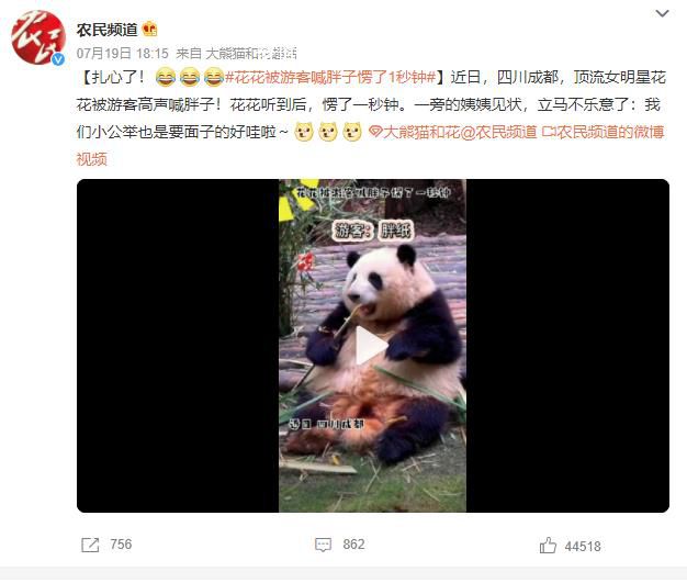 花花被游客喊胖子愣了1秒鐘 我們小公舉也是要面子的好哇啦