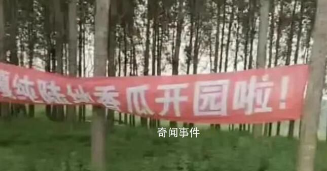 疑城管拔瓜田橫幅:種地不能打廣告