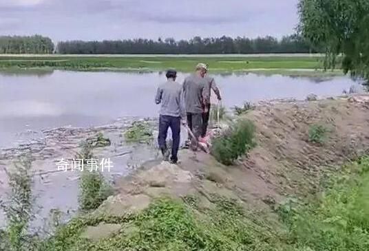 兩男子挖堤壩灌溉玉米地瞬間被淹 具體什么情況