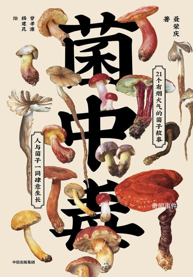 這次輪到云南菜“出圈”了?云南菌子正在成為這個夏天的美食頂流