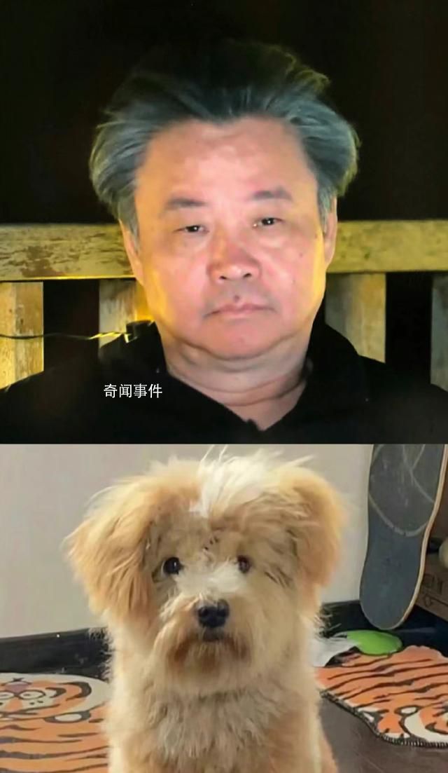 余華回應“潦草小狗”昵稱 所以我現在發型變了看他們怎么辦