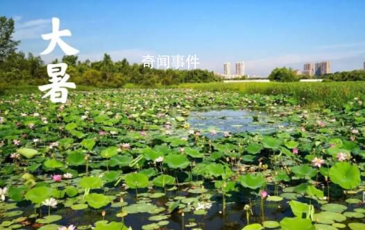 黑龍江多地“大暑”不暑