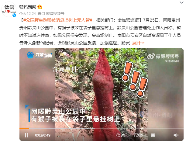 黔靈山公園獼猴被裝袋掛樹上 猴子若在管轄范圍內(nèi)將做進(jìn)一步處理