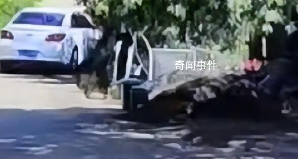 女子駕車掉入水庫致祖孫3人溺亡 給親人留下撕心裂肺的悲慟