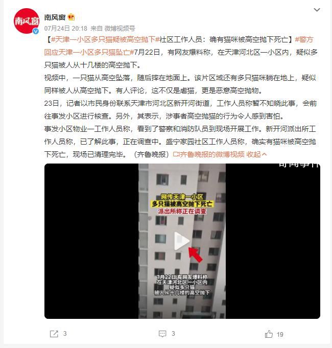 天津一小區15只貓墜亡 警方回應