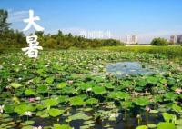 黑龍江多地“大暑”不暑