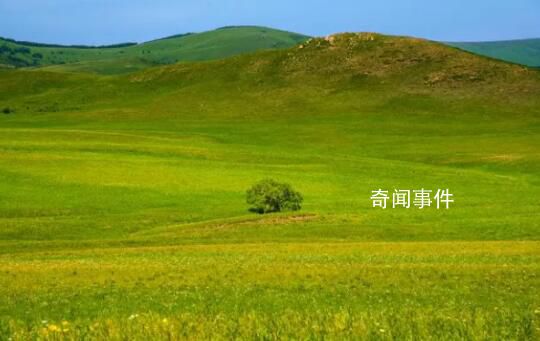 草原游變踩坑游:有項目價格翻十倍
