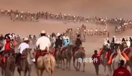 敦煌景區駱駝“罷工”?駝戶回應