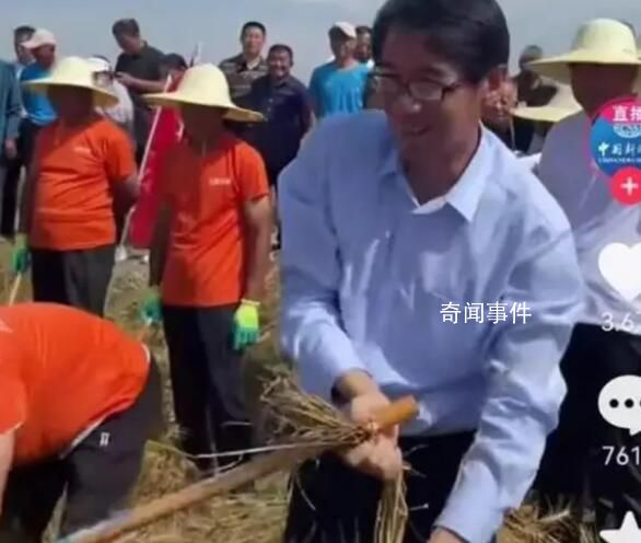 區委書記與村民比賽手工割麥子 引發眾多網友點贊