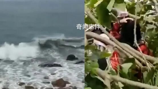 福建現(xiàn)10級風(fēng) 有樹被吹斷砸到路人