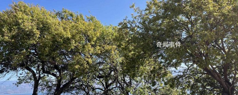 宜春有什么好玩的地方 宜春景點有哪些推薦