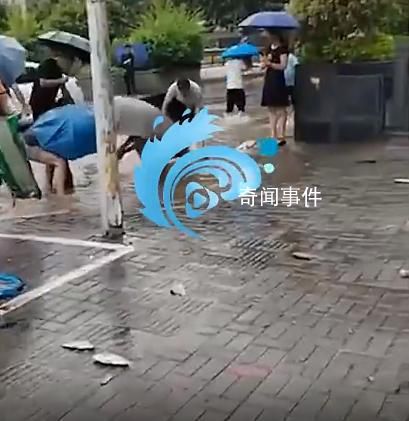 福州積水退去 居民拎麻袋上街抓魚 