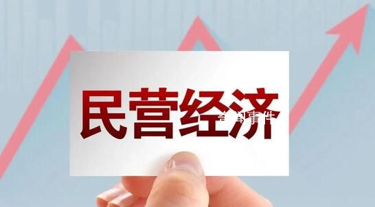 促進民營經濟做大做優做強