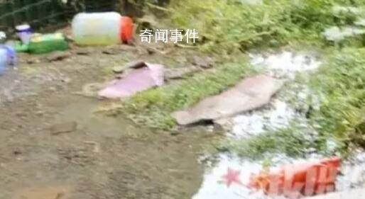 洪水過后女子家中密密麻麻全是魚 漁獲滿滿