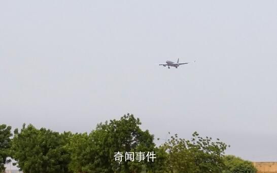 法國宣布從尼日爾撤僑 飛機上載有262人