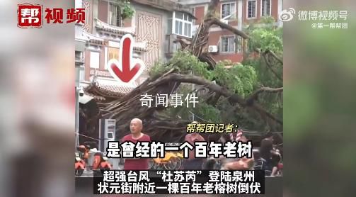 泉州百年老榕樹被連根拔起 狂風(fēng)驟雨給泉州帶來嚴(yán)重影響
