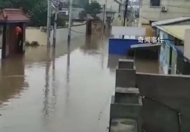涿州洪水親歷者:泄洪區村子成“海”