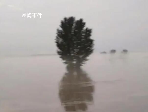 保定一洗浴中心接納200人免費住 河北保定白溝凌晨大撤離