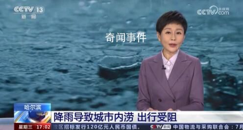 哈爾濱部分地區被淹:豬游泳自救