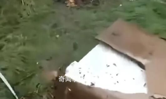 媒體談河道里撈空調:無異于趁災打劫