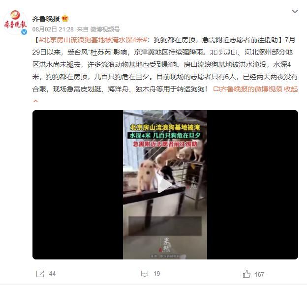 北京房山流浪狗基地被淹水深4米 幾百只狗危在旦夕